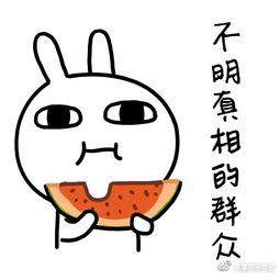 吃瓜影视娱乐,揭秘娱乐圈幕后故事